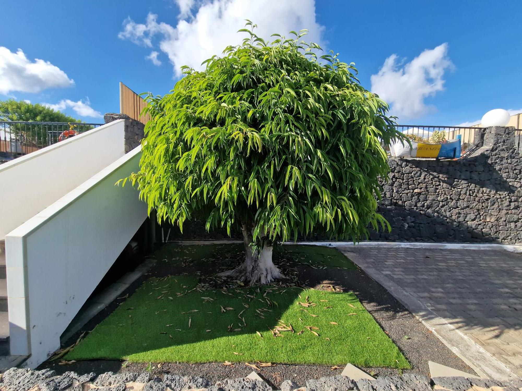 Villa Juanita, Puerto Del Carmen, Lanzarote Tias Luaran gambar